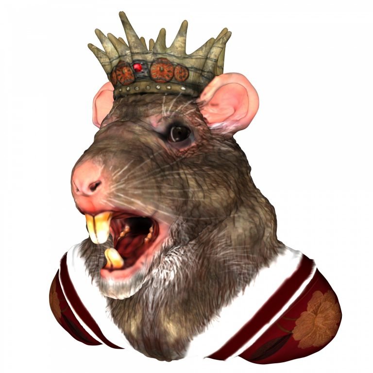 King-rat